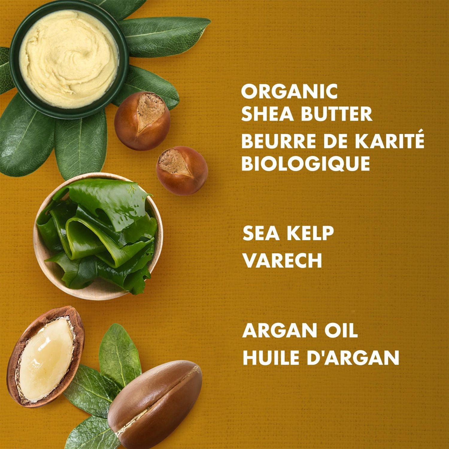 Shea Moisture Shampooing au Beurre de Karité Cru