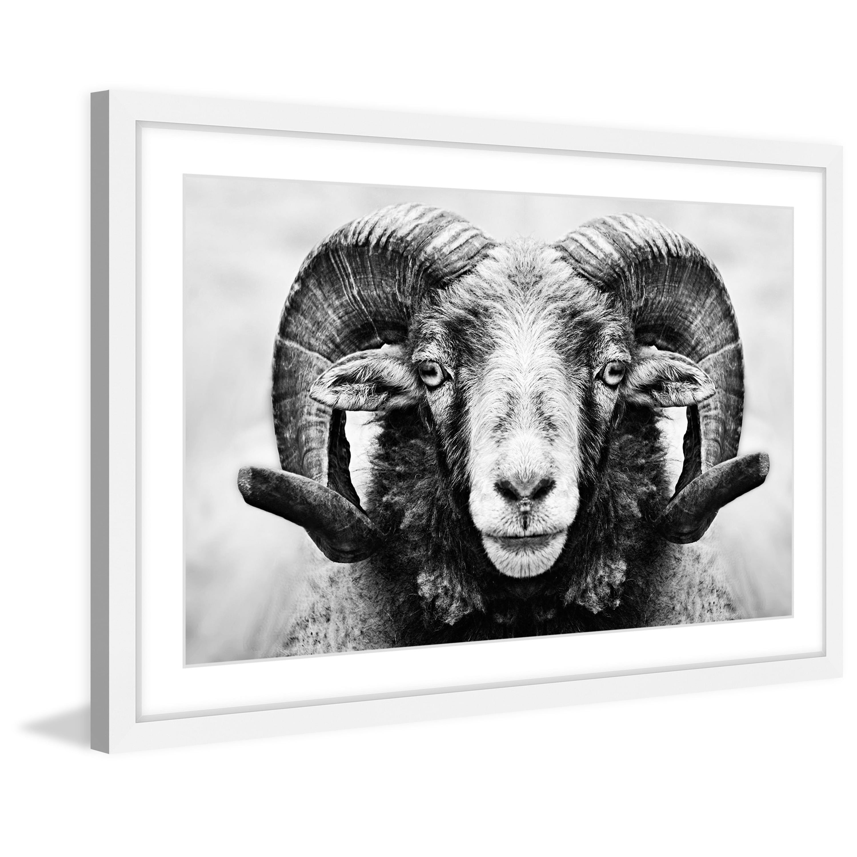 Marmont Hill "I Dare You Ram" Framed Painting Print