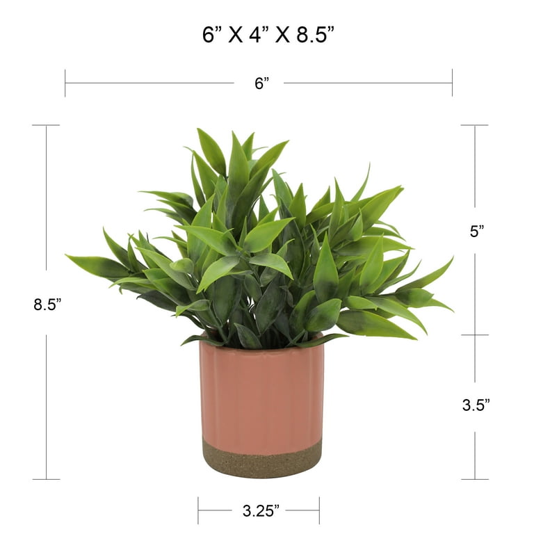 Mainstays by Becky G. & Alejandra 8