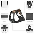 thumbnail image 3 of Naloa Sky Sunset Bronze Dragon Pet Harness Vest with Traction Rope, Adjustable No-Choke Dog Vest for Outdoor, Walking - X-Large, 3 of 4