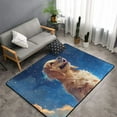 thumbnail image 2 of Starry Sky Cloud Dog Shaggy Area Rug, Rugs for Living Room Bedroom Non Slip Door Mat Indoor Carpet Machine Washable Nursery Home Decor Floor Mats for Entryway 60x39in-#, 2 of 5