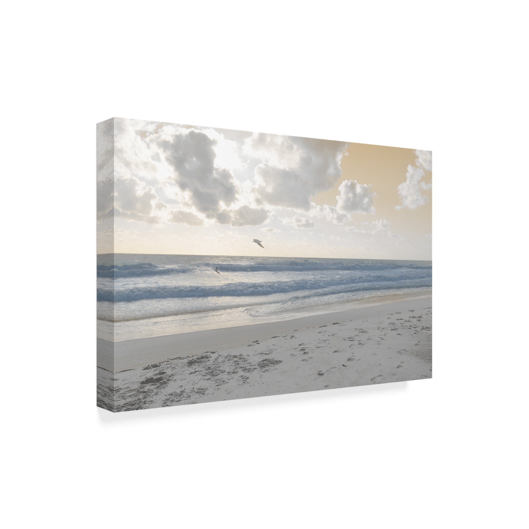Trademark Fine Art 'Serene Sea 1' Canvas Art by Sharon Chandler