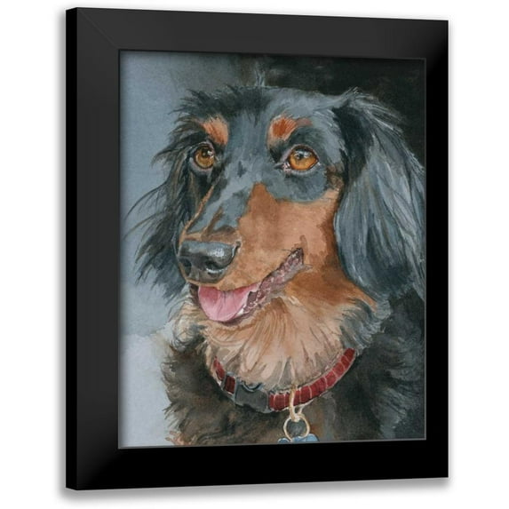 Fagan, Edie 20x24 Black Modern Framed Museum Art Print Titled - Bongo Long-haired Dachshund