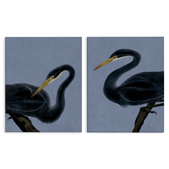 Stupell Industries Cottage Black Heron Birds 2pc Canvas Art Set, 16 x 20 each, by Grace Popp