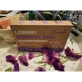 Laundry Detergent Sheets
