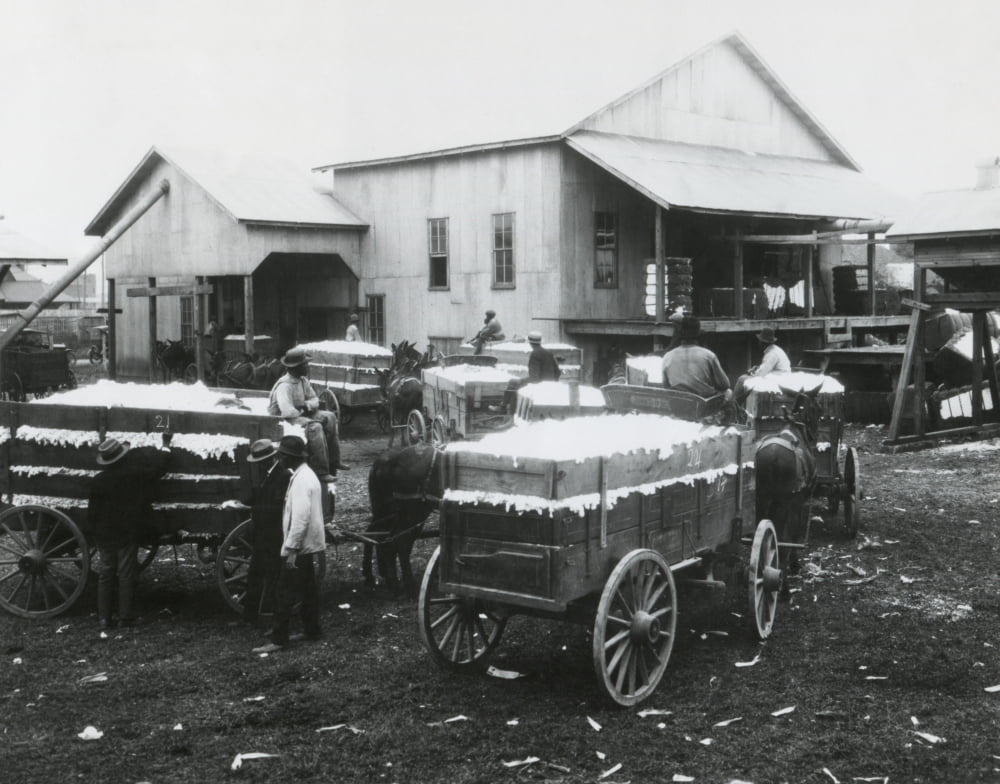 Community Cotton Gin Owned And Operated By African Americans In Madison