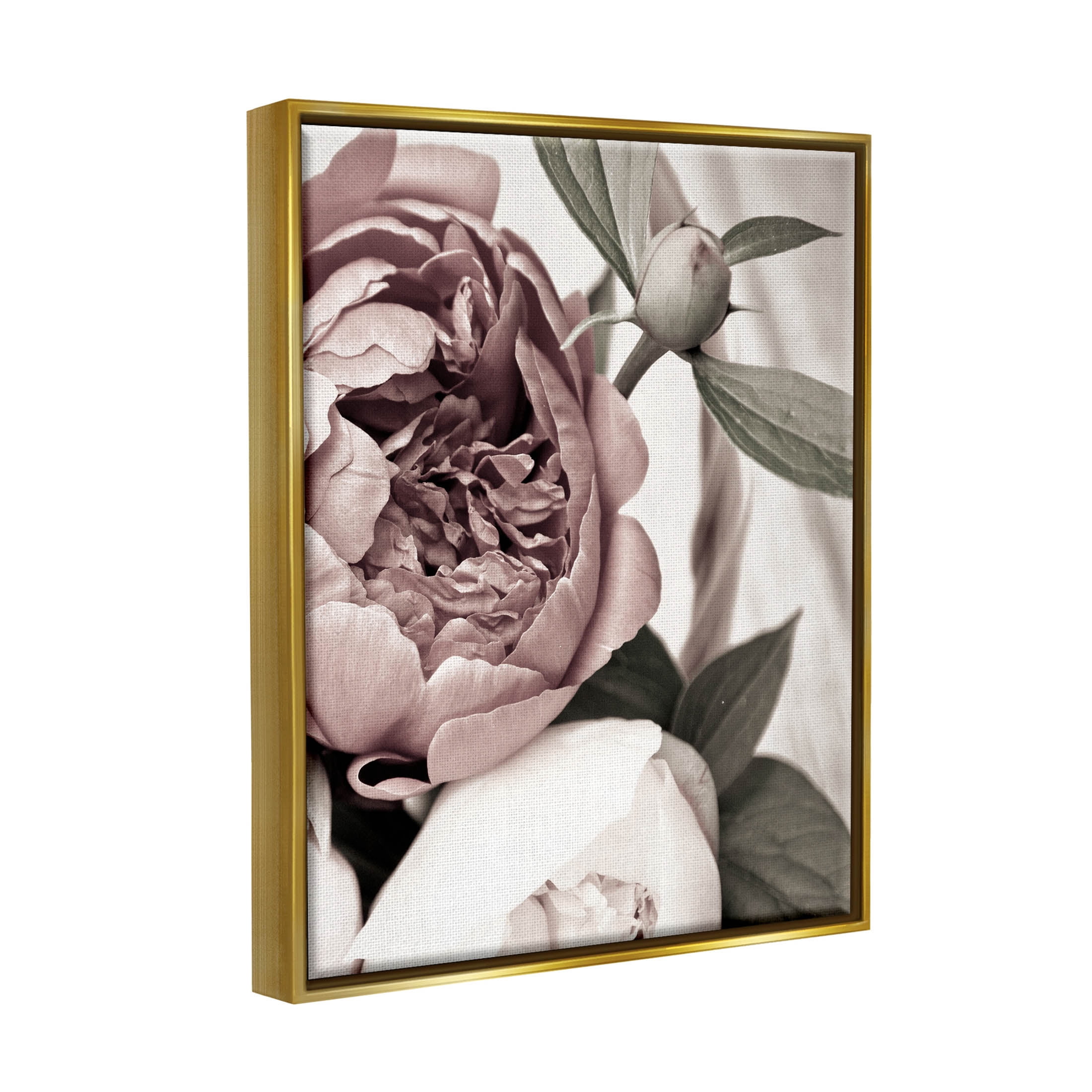 Blooming Peony Flower Buds Botanical & Floral Photograph Metallic Gold Framed Art Print Wall Art