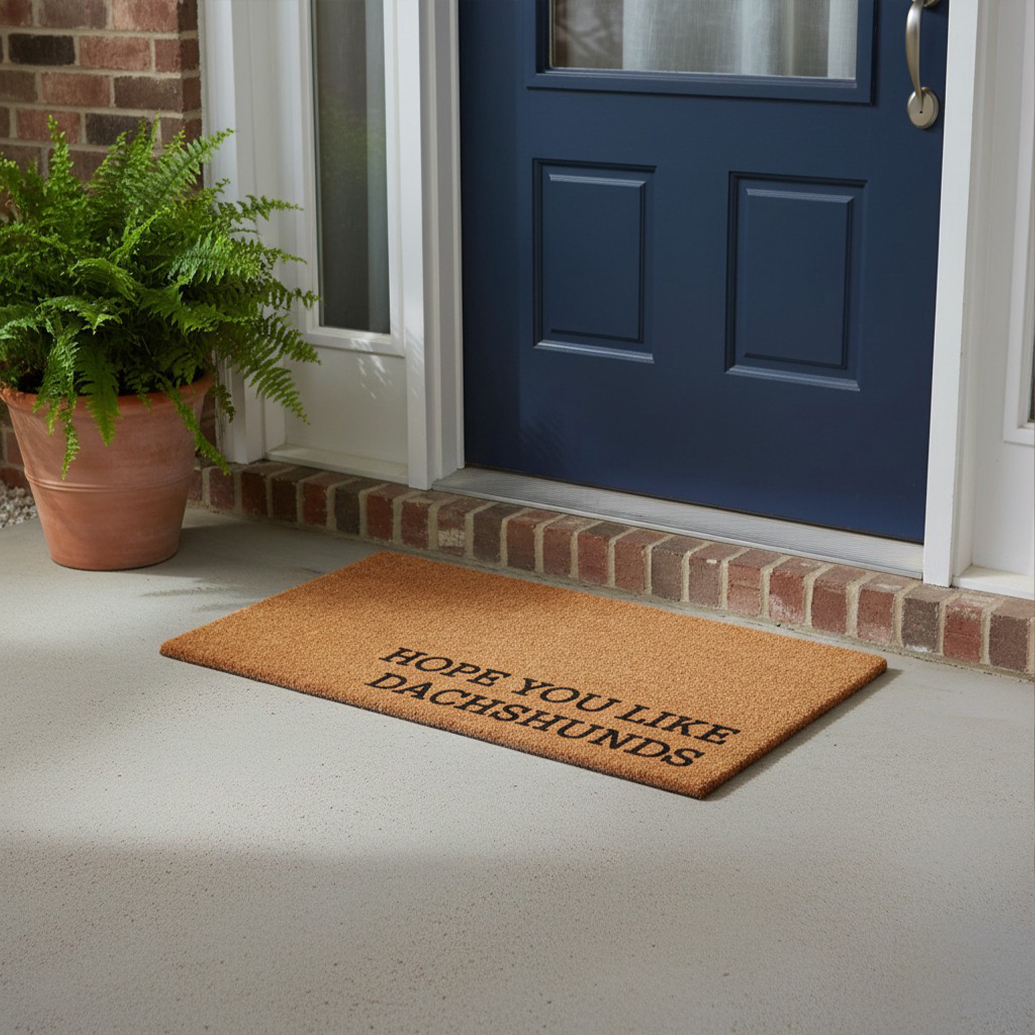 Hope You Like Dachshunds Non Slip Vinyl Backing, Front Doormat, Entryway Doormat, 17"x29"