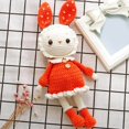 thumbnail image 2 of Crochet Kit for Beginner Cute Starter Arts Craft Set Kit Handmade Rabbits Includes Yarn, Hook, Accessories Orange, 2 of 9