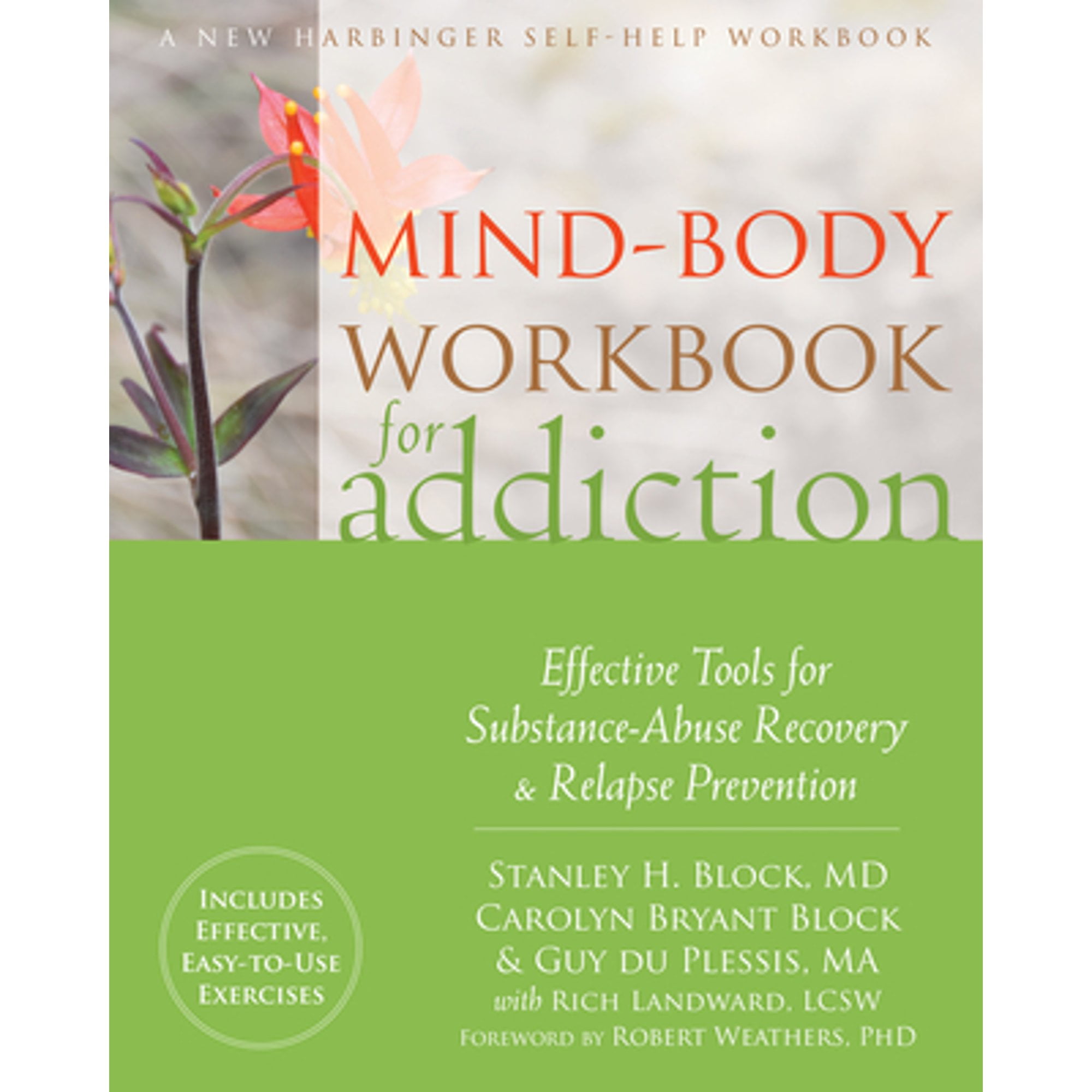 MindBody Workbook for Addiction Effective Tools for SubstanceAbuse
