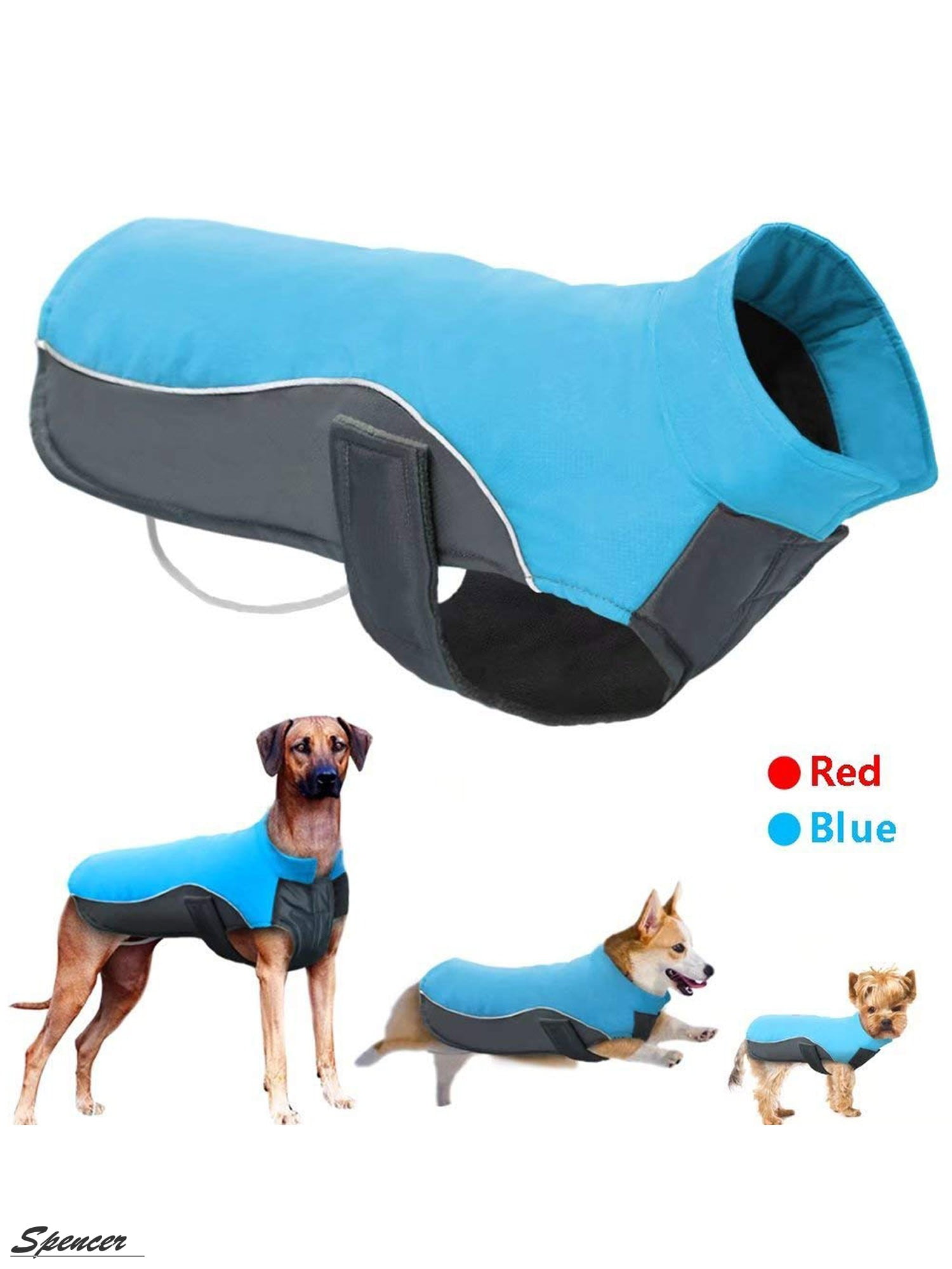 large dog jackets