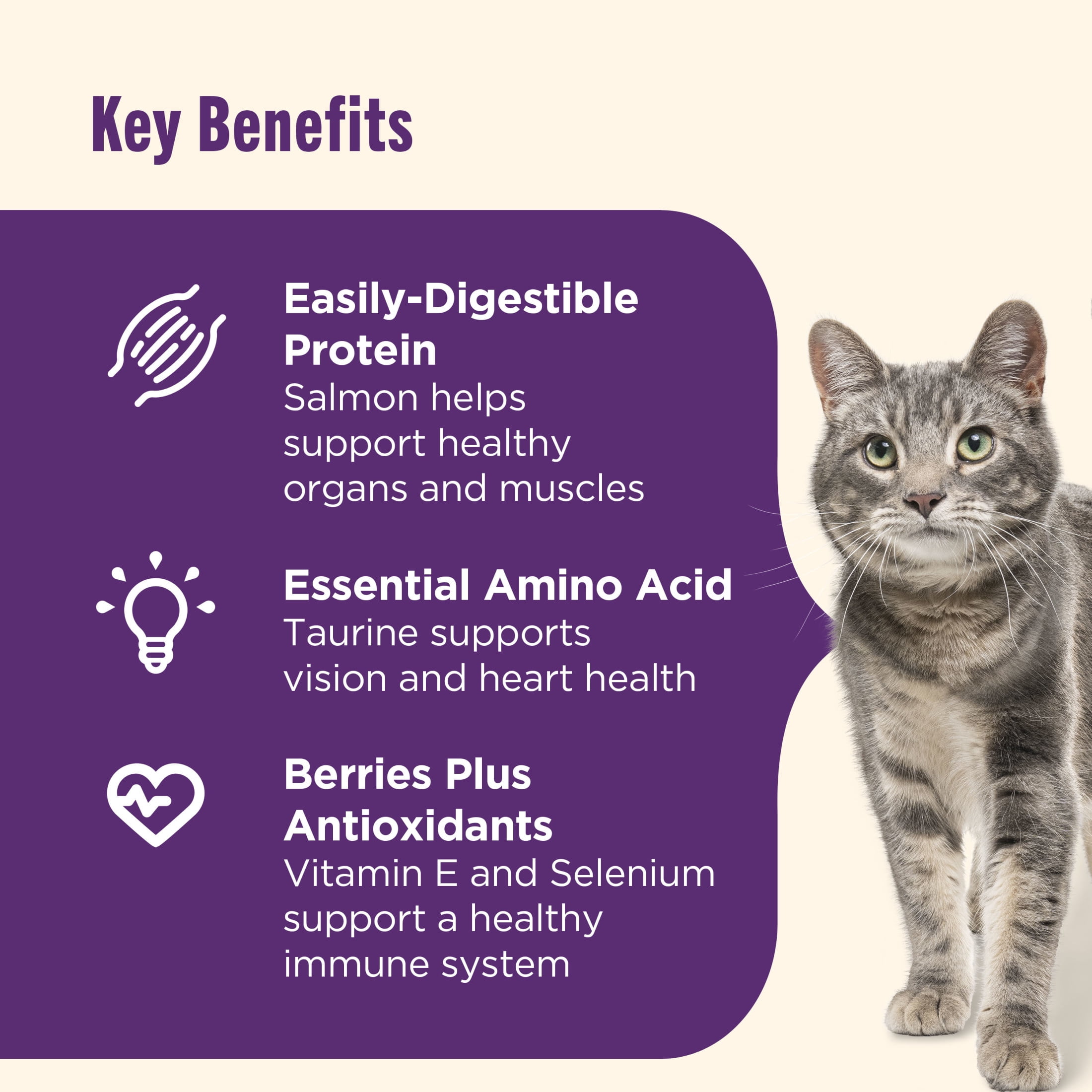 Nutrish Senior Healthy Aging Chicken, Chickpea and Salmon Dry Cat Food, 3 lb. Bag (Rachael Ray)