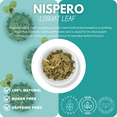 thumbnail image 5 of Green Royalty Níspero (Loquat Leaf) – 4 oz | Natural Herbal Tea | Dried Nispero Leaves for Infusions, 5 of 5