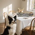 thumbnail image 6 of Silve Cat Chain Collar with Bell, Lightweight Metal Necklace with Extension Chain, Wide Link Jewelry for Cats and Dogs (Silve, S), 6 of 7