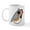 White, variant on CafePress - Singing Zebra Finch Mug - 11 oz Ceramic Mug - Novelty Coffee Tea Cup