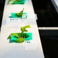 thumbnail image 1 of IDEANATEGRATE 4Ud Cestas Hidropónicas Transparentes Macetas De Malla Resistentes Para Plantas, 1 of 8