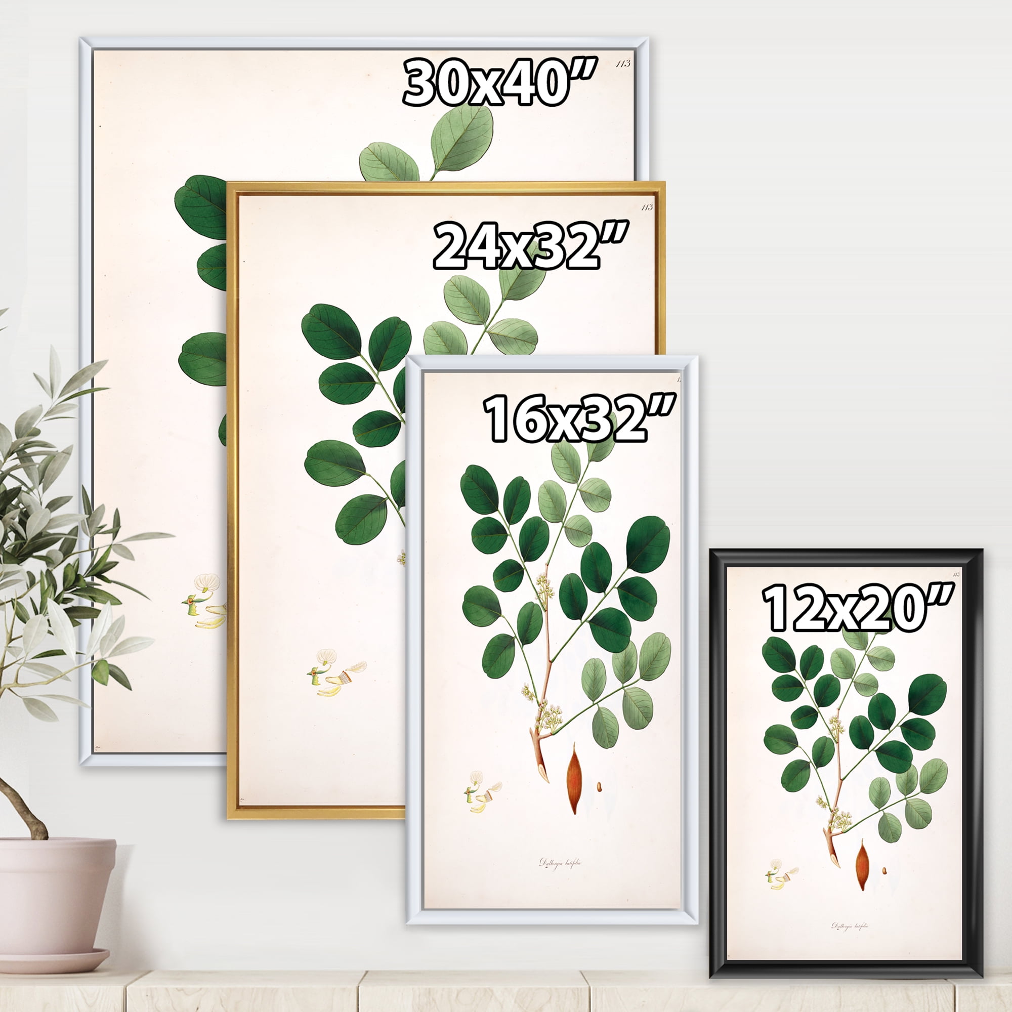 Designart 'Ancient Plant Life XI' Farmhouse Framed Canvas Wall Art Print