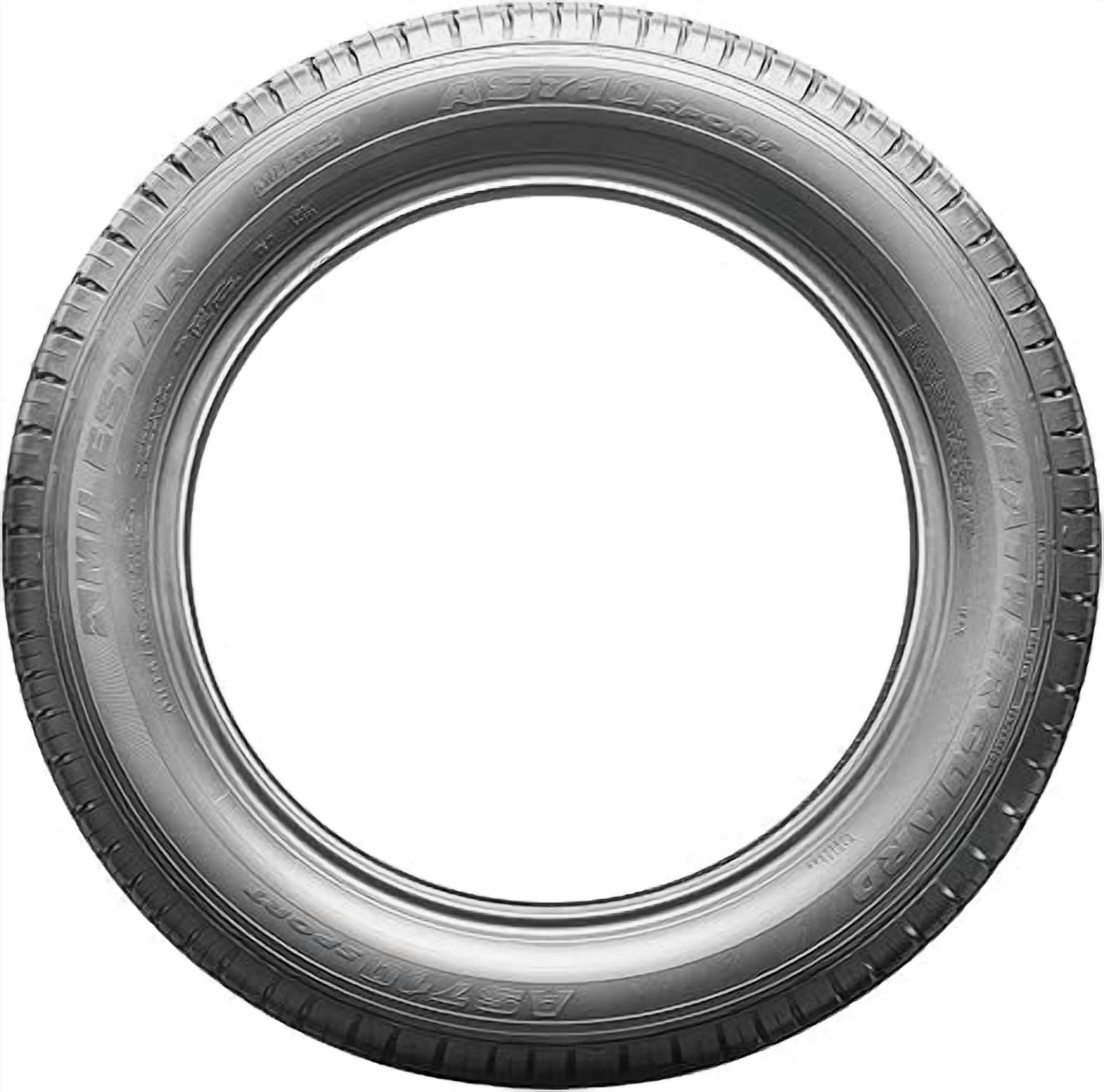 Milestar Weatherguard P205/65R16 127 Q Tire