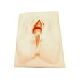 thumbnail image 2 of Simulador de episiotomía de silicona con accesorio para práctica perineal Cortar por la mitad, 2 of 9