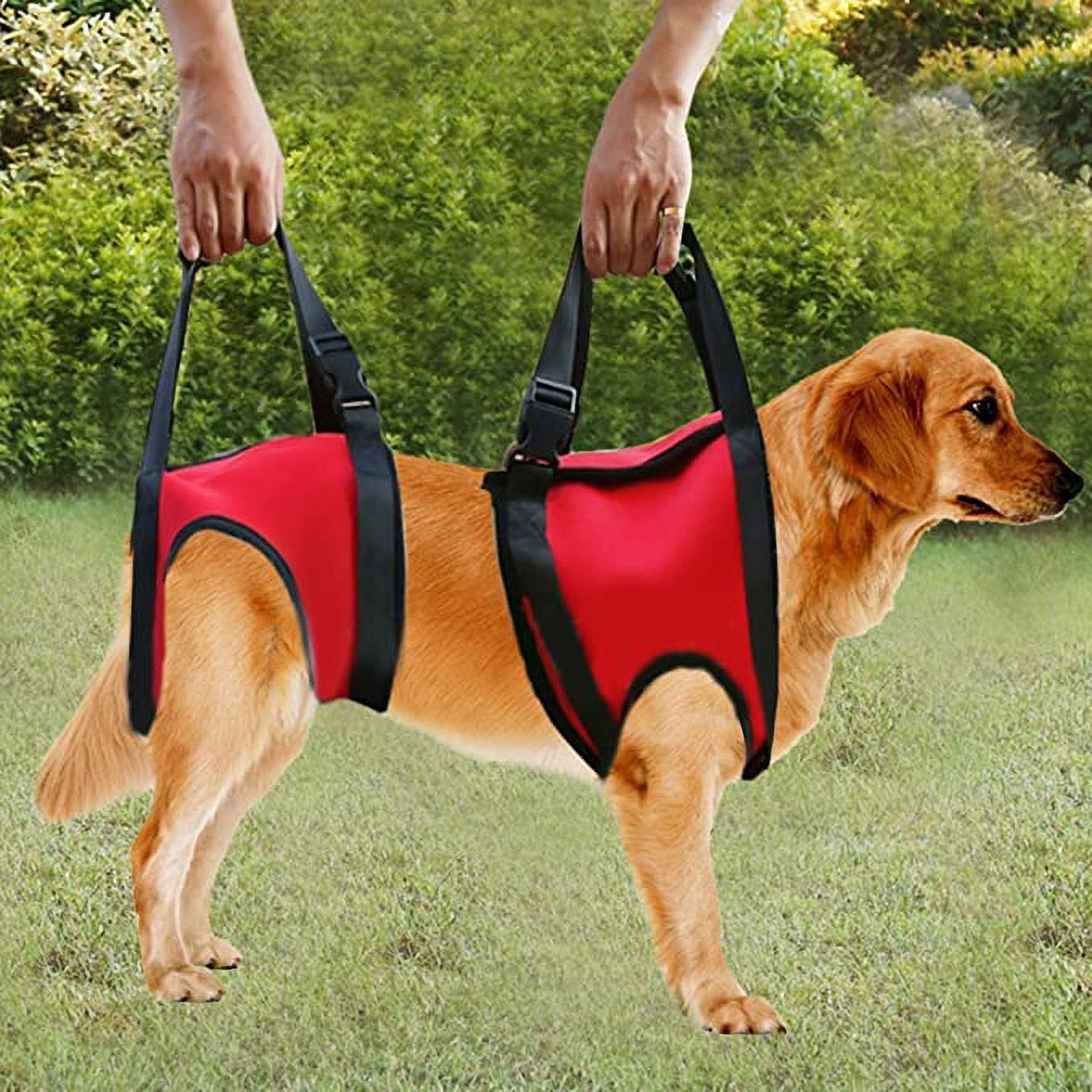Dog walking aid harness clearance