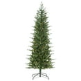 thumbnail image 2 of 6.5 ft. Pre Lit Clear Incandescent Natural Cut Narrow Dover Pine, 2 of 5
