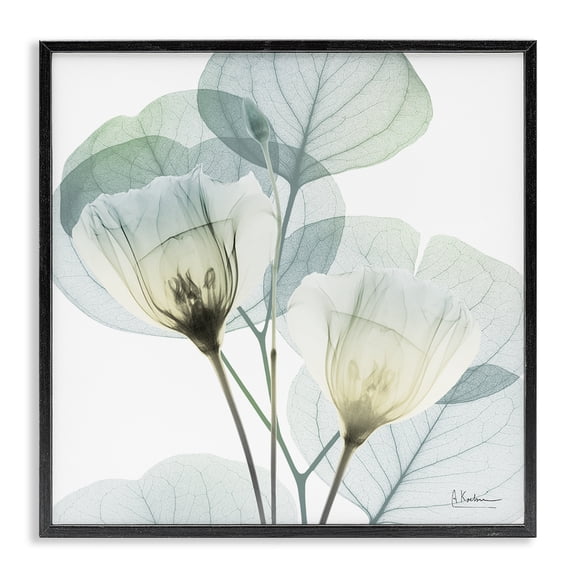 Stupell Industries Traditional Divine Fate Flower Leaves Black Framed Giclee Art, 12 x 12, by Albert Koetsier