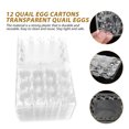 thumbnail image 2 of 50 bandejas organizadoras de huevos de codorniz para uso doméstico con tapa, 2 of 7