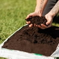 thumbnail image 2 of Schultz Enriched Lawn Soil, 2 of 4