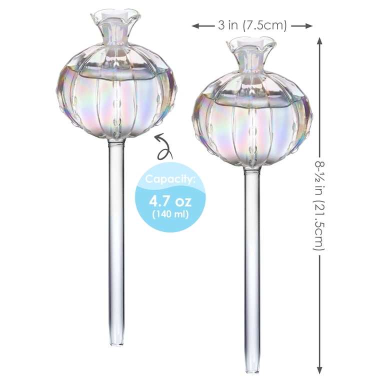 NiHome Glass Cactus Self-Watering Globes, 2-Pack photo 6