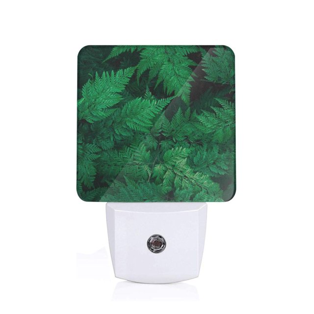 Fotbe Green Leave Fern Luz Nocturna LED, Luz de Noche con Sensor de Luz Natural de Anochecer a Amanecer, Se Enchufa a la Pared, Blanco Cálido 0.5W-US