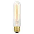 thumbnail image 1 of 01322 60W T10 Incandescent Vintage Edison Bulb, 1 of 1