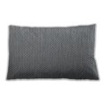 thumbnail image 1 of Ahgly Company Outdoor Rectangular Contemporary Lumbar Throw Pillow, 13 inch by 19 inch, 1 of 5