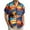 #13-Multicolor, variant on Ceisia Men's Short Sleeve Shirt Vacation Style Straight Fit Tropical Print Turn-Down Collar Casual Spring Summer Shirt Gift