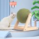 thumbnail image 2 of XTMPMY Juguete de piso giratorio con hierba gatera emocionante e interactivo para gatos: diversión sin fin con una bola con infusión de hierba gatera: juguete seguro, entretenido, estimulante y, 2 of 8