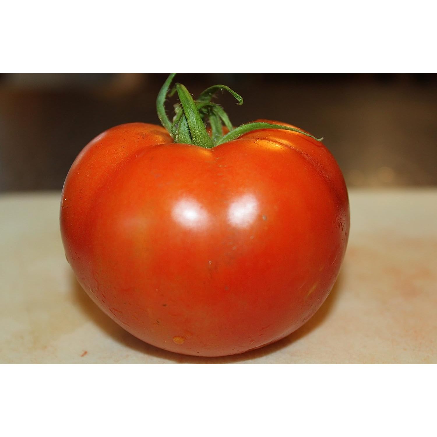 Celebrity Tomato Plant Non GMO (2) Two Live Plants Not Seeds Each 4”7” Tall in 3.5