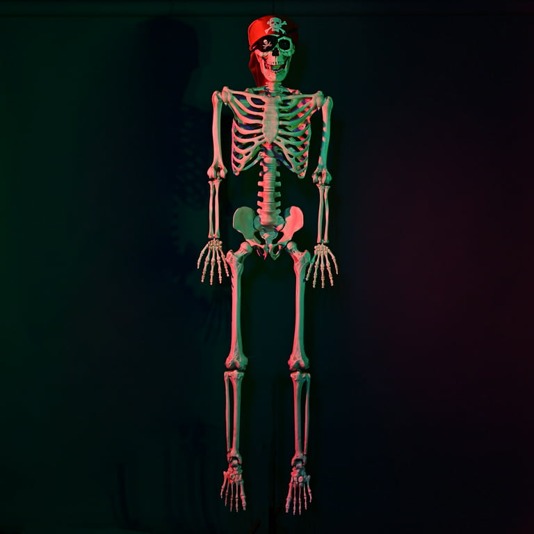  5.4Ft/165cm Halloween Skeleton Full Body Life Size Human Bones  with Movable Joints for Indoor Outdoor Halloween Props Decorations : Patio,  Lawn & Garden