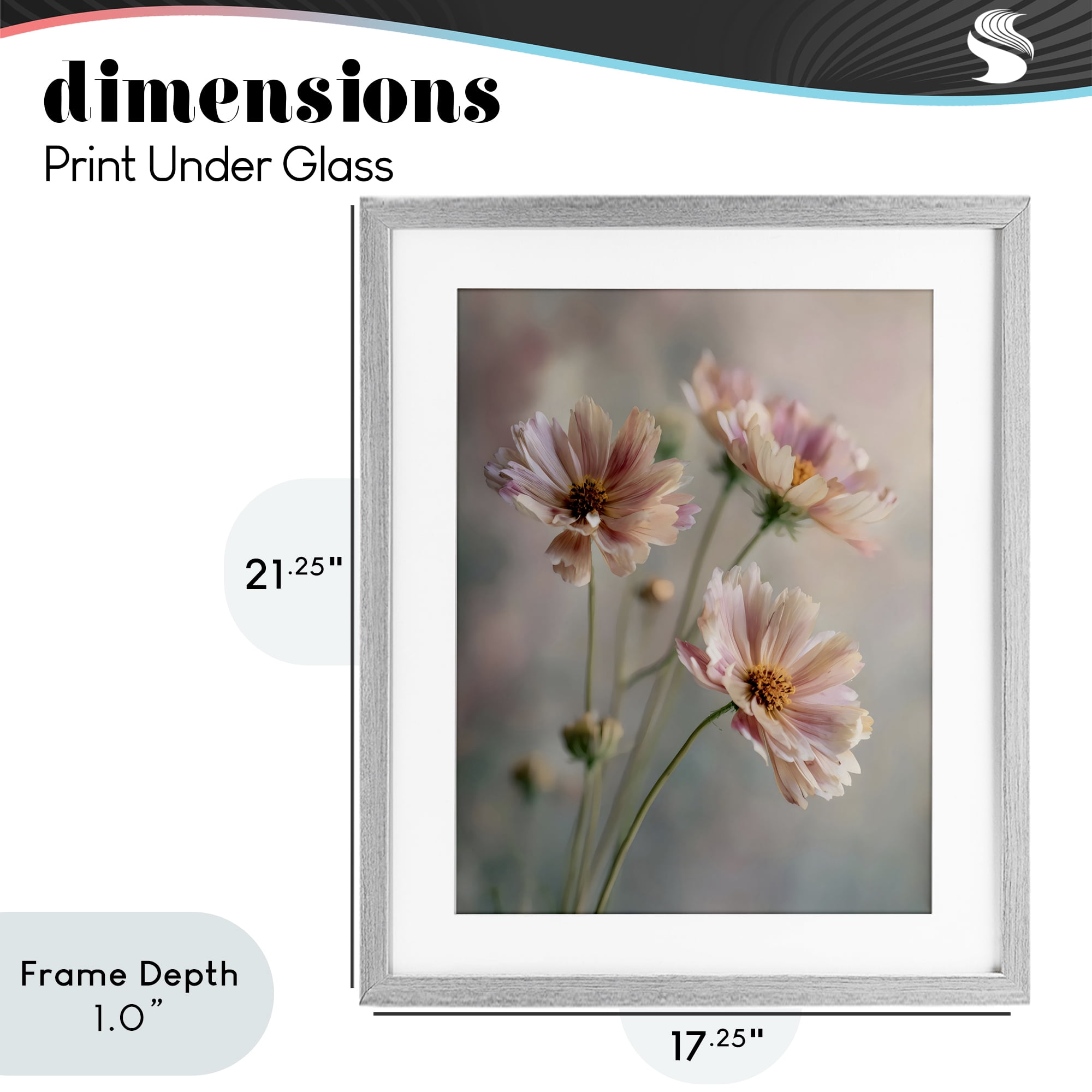 Stupell Industries Pink Daisies Close Up Gray Framed Print Under Glass, design by Franklyn Gregory