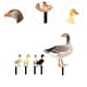 thumbnail image 2 of Estacas de estatua de animales de de 4 piezas, decoraciones de de jardín, estatua de de estacas de jardín para patio trasero, 2 of 6