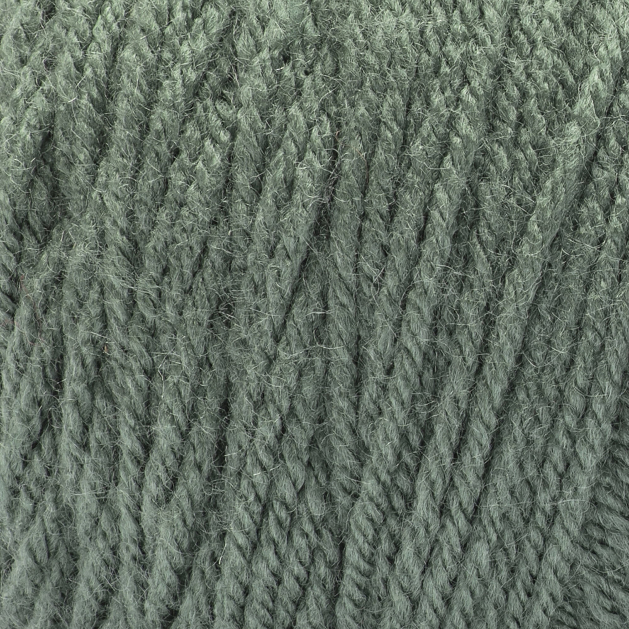 Bernat® Premium™ #4 Medium Acrylic Yarn, Ivy 7oz/198g, 360 Yards