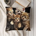 thumbnail image 3 of Throw Pillow Covers Cute Kittens Black and Orange , Square Decorative,Cushion Pillows Cover for Couch and Bed for Men/Women, 3 of 5