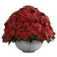 thumbnail image 1 of Nearly Natural Giant Poinsettia Arrangement with Decorative Planter, 1 of 1