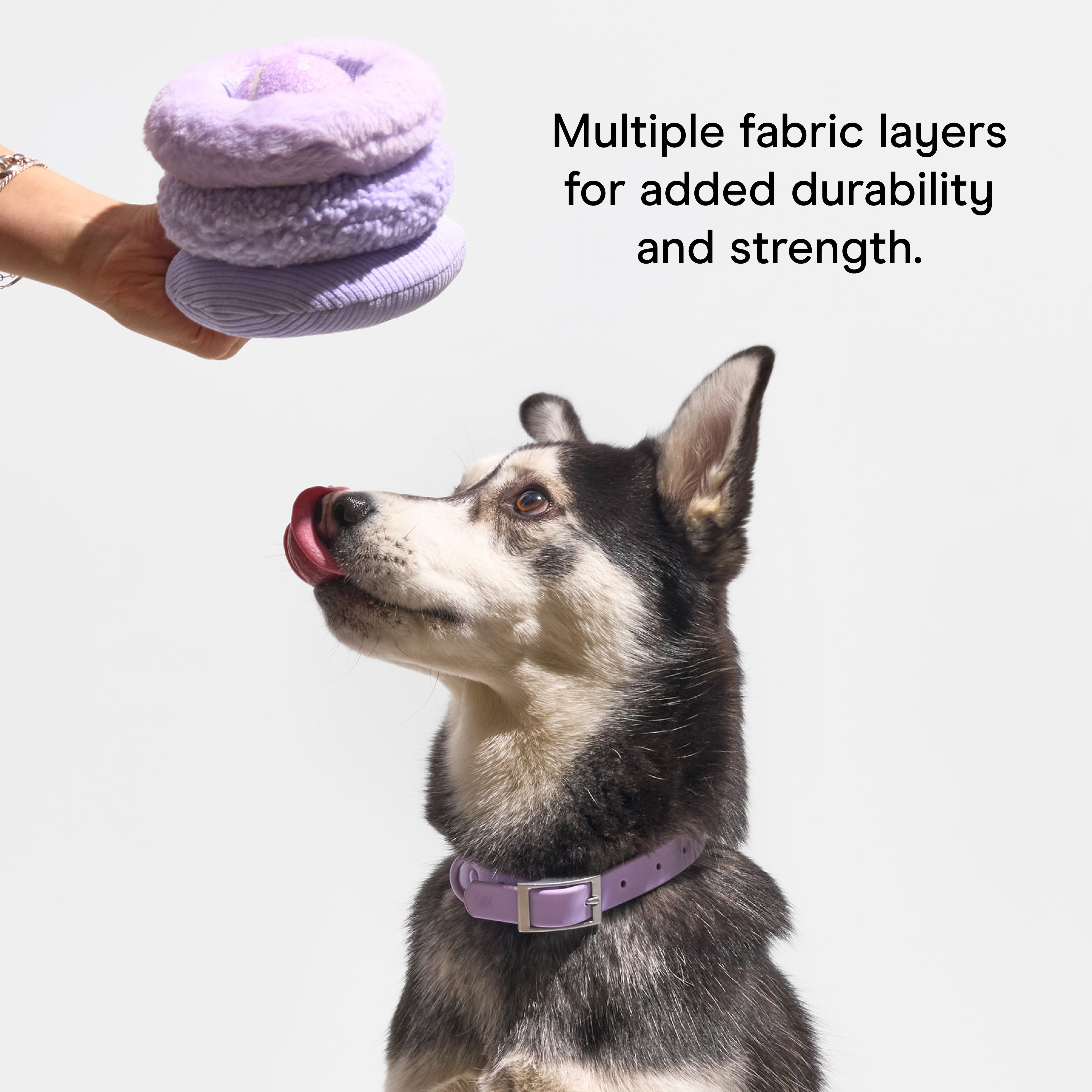 Wild One Durable Plush Tennis Tuft Dog Toy, Mental Enrichment with Squeaker and Hidden Ball, For Moderate Chewers, Navy Blue