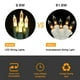 thumbnail image 4 of Guirnalda de luces navideñas Brizled, 10 m, 100 LED, luz blanca cálida, 120 V, 4 of 9