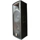 thumbnail image 1 of Bafle Tipo Concert 2 x 15 professional ANTROLITE CHHD-F1215, 1 of 5