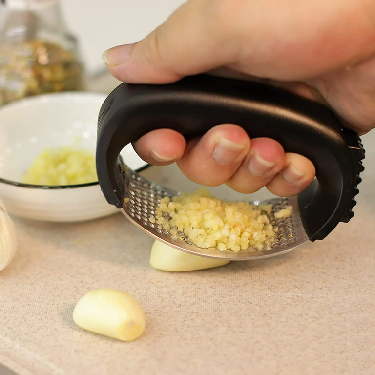 Hand Press Garlic Chop Mini Stainless Steel Garlic Presser Chili