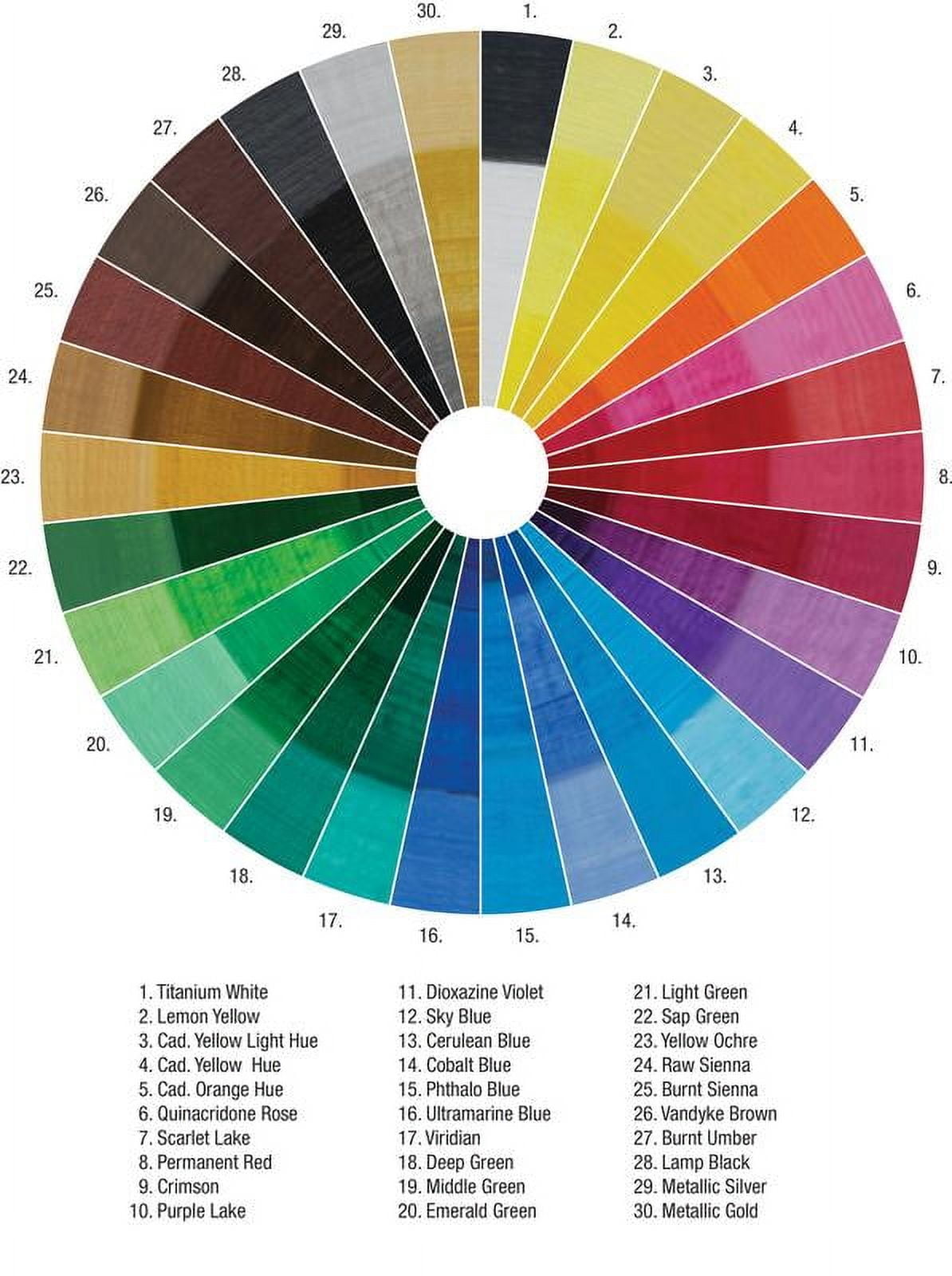 Kaleidoscope 30 Pack Matte Acrylic Paint Set - Multi Surface Paint for Finger Nails, Canvas, Rock, Fabric, Paper, Clay, Metals, and Wood - Pre Mixed Assorted Colors in 20ml Tubes - 2 Pack