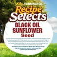 thumbnail image 6 of Pennington Recipe Selects Black Oil Sunflower Seed Dry Wild Bird Feed, Bird Food, 40 lb. Bag, 1 Pack, 6 of 16