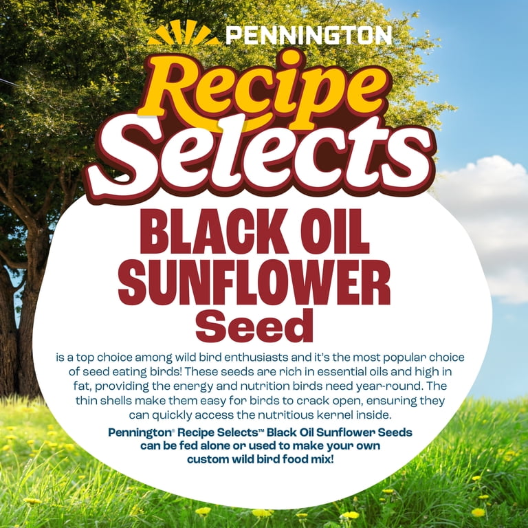 Pennington Black Oil Sunflower Seed Wild Bird Food, 40 Lb photo 4