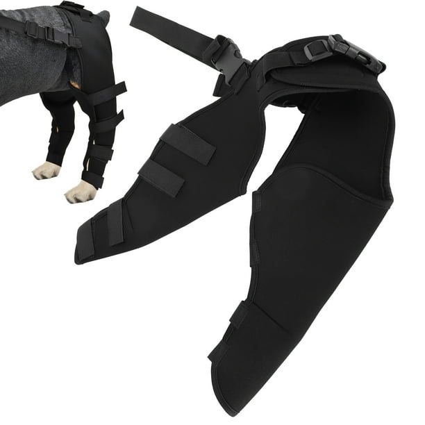 Rodillera para Perros Productos de Protección de la Salud para Perros Protector de Patas Traseras para Perros y Mascotas Soporte Ajustable para las Piernas de la Rodillera para Anggrek Otros