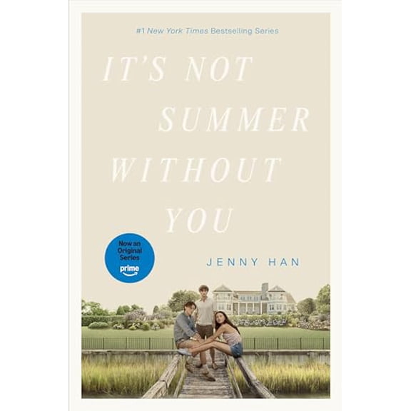 Pre-Owned It's Not Summer Without You (Paperback) 1665937998 9781665937993